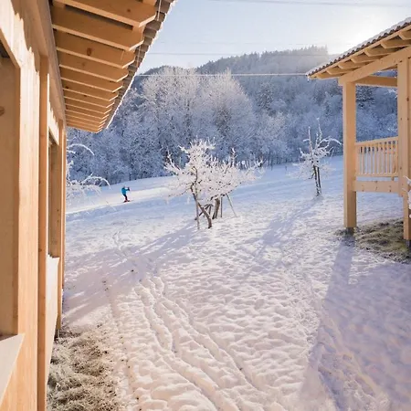 Villa Pinjola Vandans Exterior foto