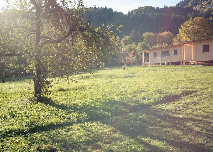 Pinjola